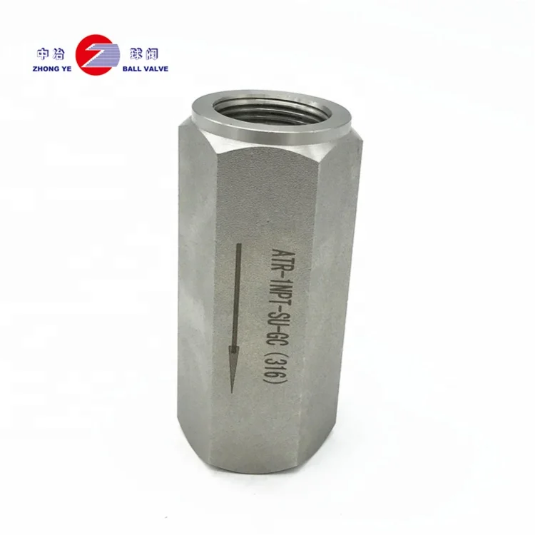 Manufactory direct check  High pressure ss304 non return straight female thread horizontal check valve