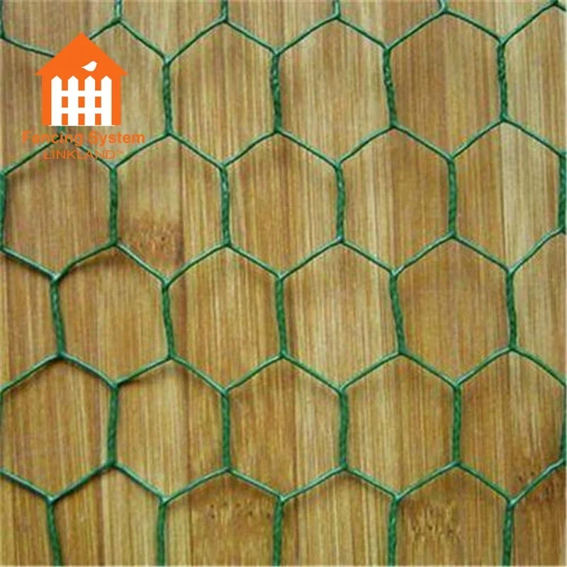 Galvanized Hexagonal wire mesh/Chicken wire mesh