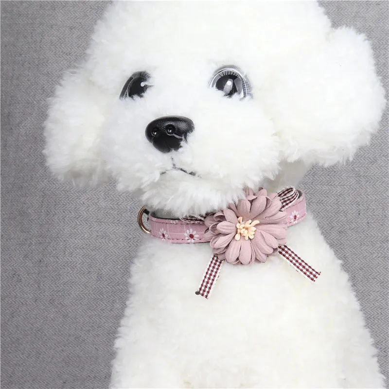 Fashion Big Flower Metal Buckle Pet Custom Dog Collar  Cute PU Dog Cat Collar