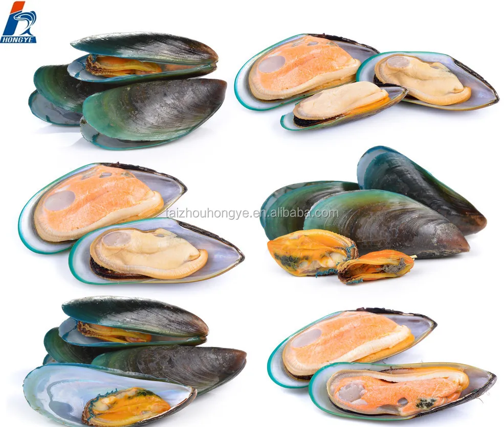 
Frozen mytilus edulis mussel meat for canned mussel 