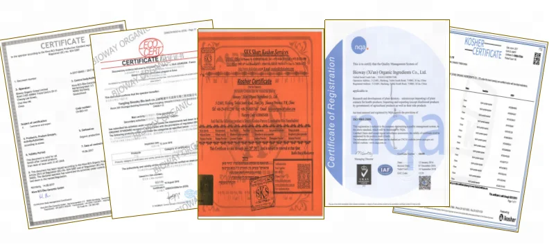 Non-GMO Certified Organic Pumpkin Kernels /pumpkin seed