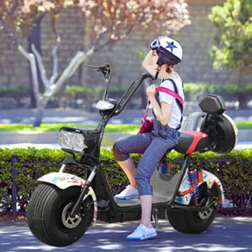 European Warehouse Stock Citycoco Scooter 800w 1000w 1500w Fat Tire Adult Electric Motorcycle with EEC