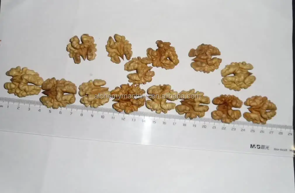India Walnut In Shell and Ukraine Walnut Kernel Wholesale Price