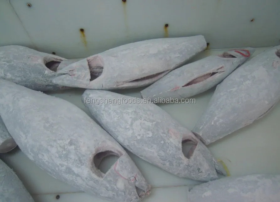 
Sashimi Grade Superfrozen Seafoods Raw Bigeye Tuna Longline 