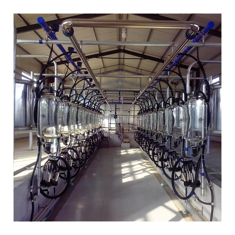 Hot sale automatic milking system cow milking parlour