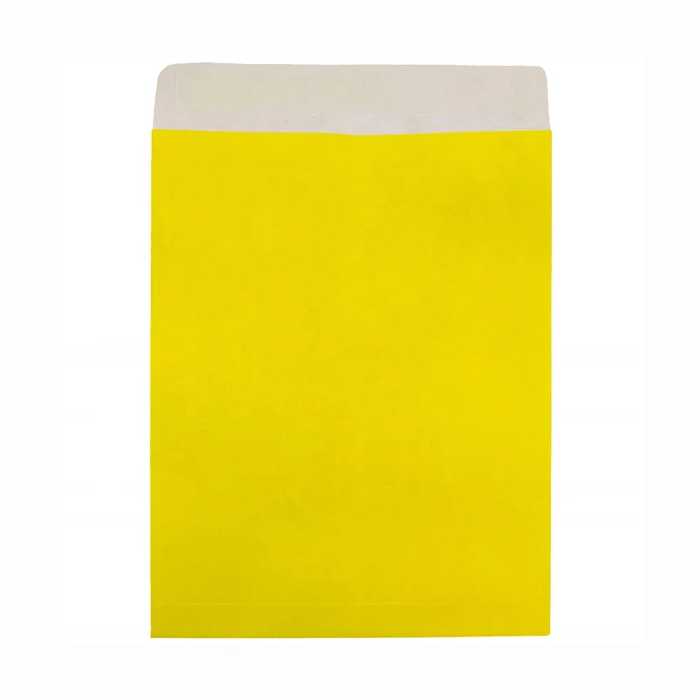 Custom Tyvek Tear Proof Open End Catalog Envelopes 10 x 13 inch Sizes
