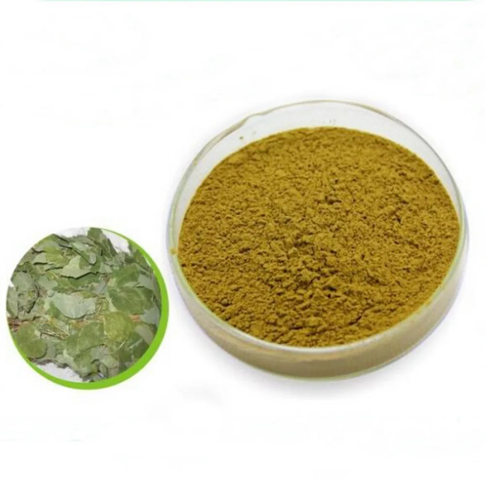 Factory Supplier Epimedium extract