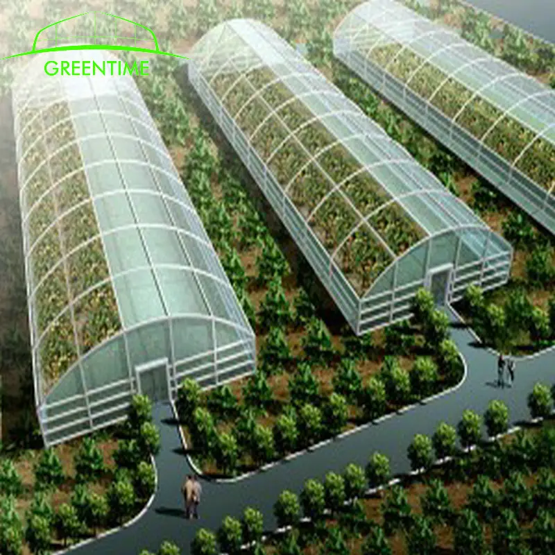 Hydroponics farm single span Plastic film Greenhouse