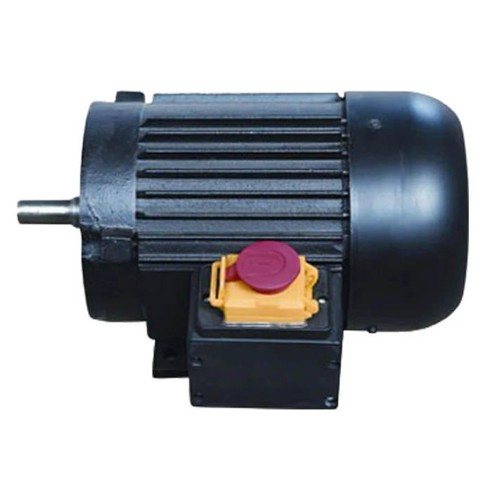 Y Series 20 HP Electric Motor