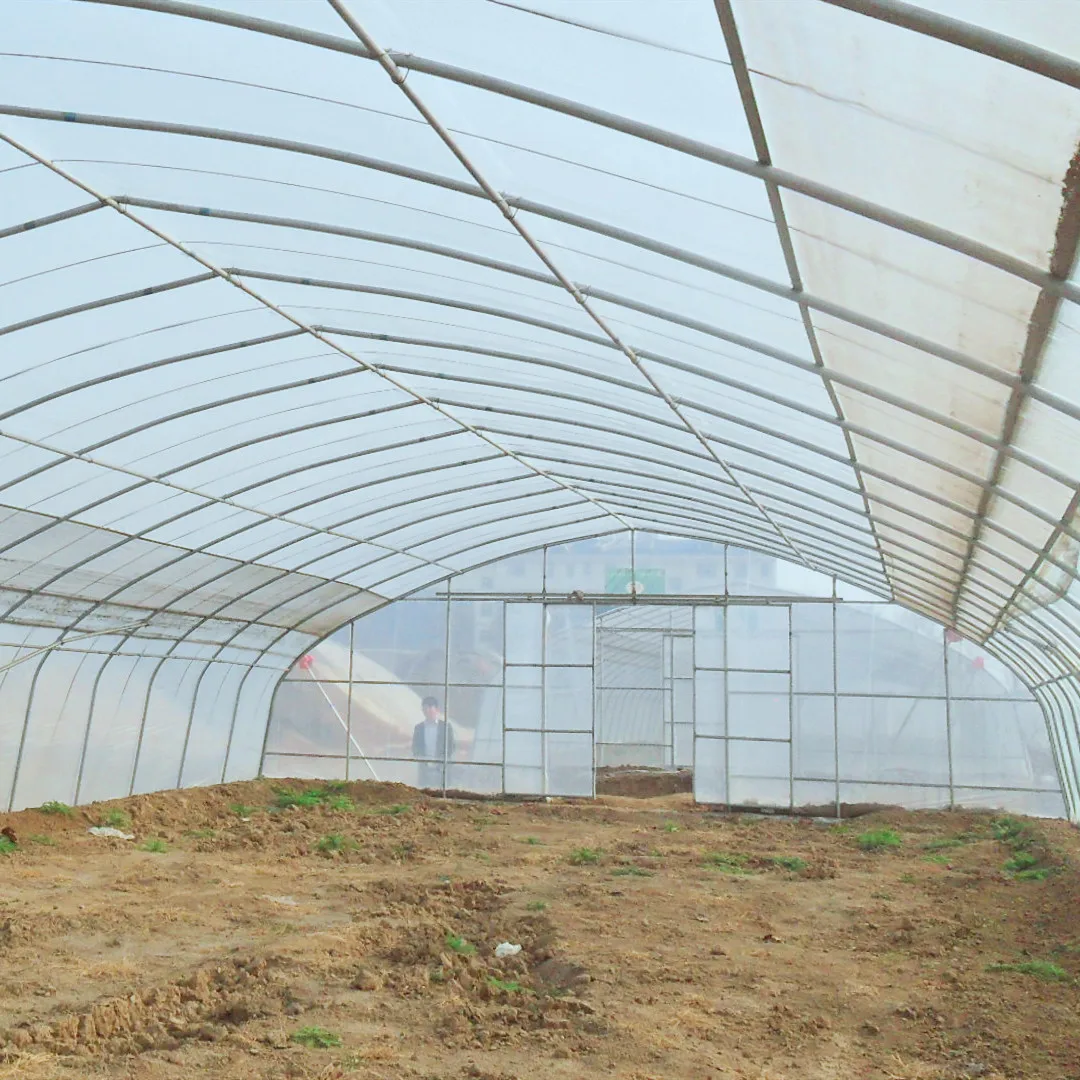 Коммерческая/Сельскохозяйственная Однопролетная пленочная теплица, одобренная парниковым рынком