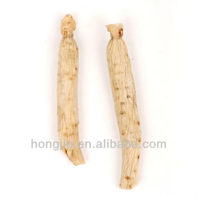 
White Ginseng Root 