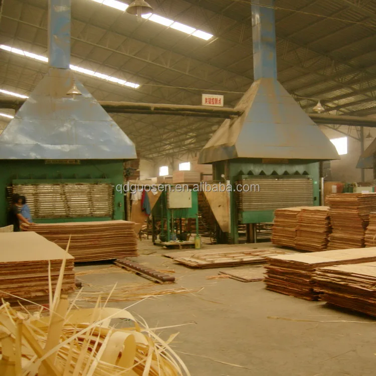 The best plywood press machine /production line /making machine