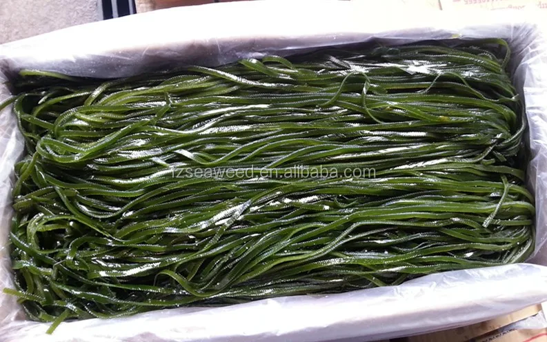 Lower Price Frozen Seaweeds Salted Kelp Silks or Kombu Strips,Laminaria Seaweed Salads