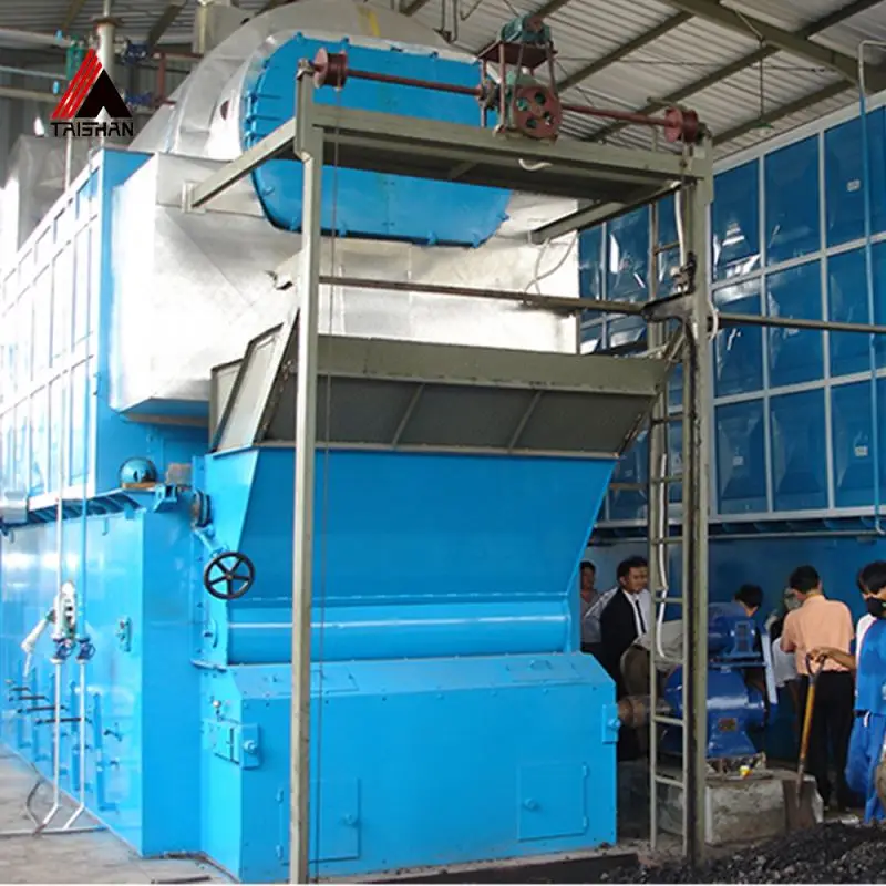 For Pakistan Market, Horizontal Style Coal Fired DZL Type Steam Boiler