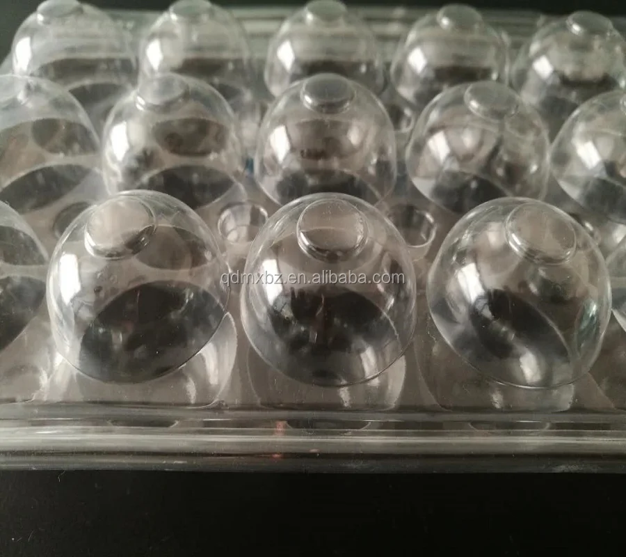plastic quail egg tray,quail egg cartons for sale,quail egg packaging