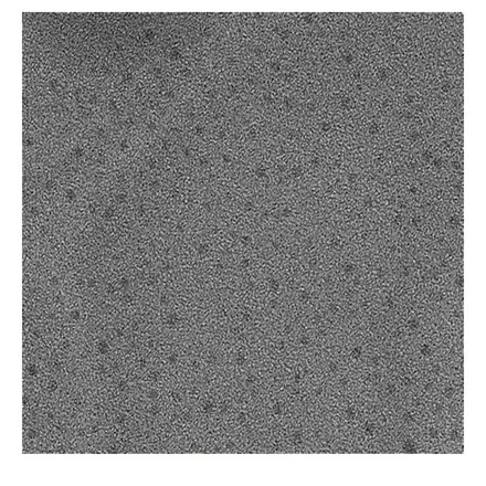 Graphene Oxide quantum dots dispersion DSGOD-0.6-4-W