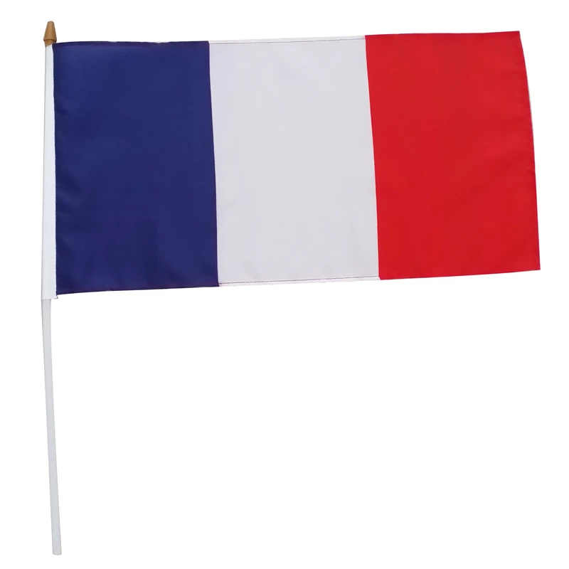 custom France car window flags car mirror cover flag
