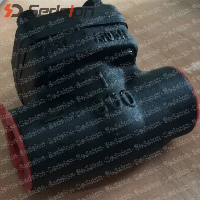 1 inch class 800LB forged check valve A105 SW NPT Flange API602/BS5354/ISO15761