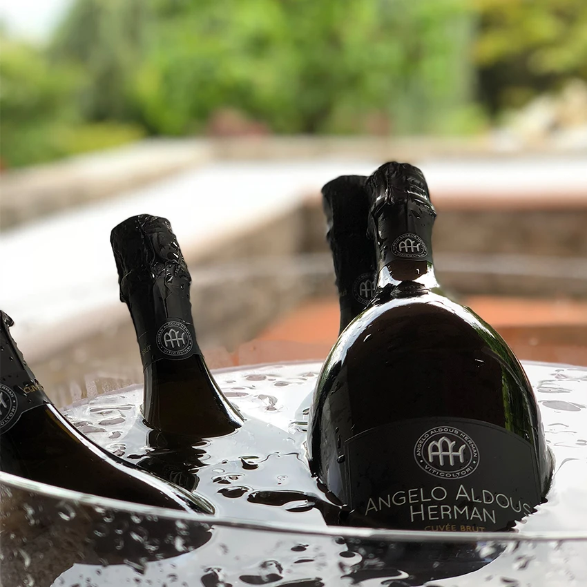 Wholesale Family Alcohol 12.5% Sweet Taste White Sparkling Table Wine