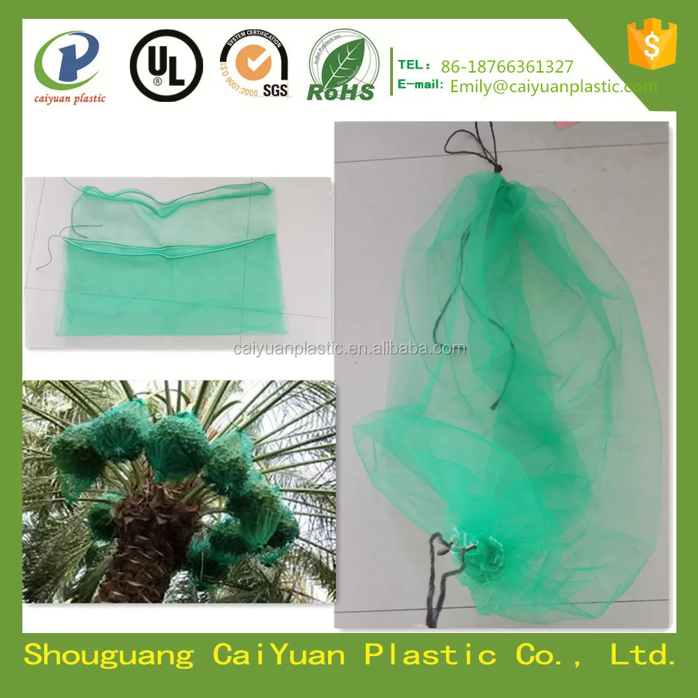 Зеленый финиковая пальма урожай сетка мешок