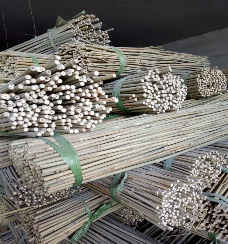 Wy-J185 томатный растущий бамбуковый колпачок