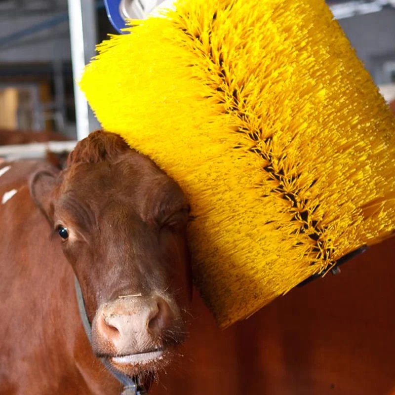 Best Supplier Automatic Cow Body Massager Brush for Cow Farm