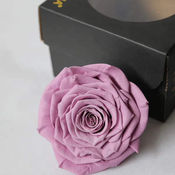 Natural Forever Rose Egypt For Any Occasion From Flower Farm