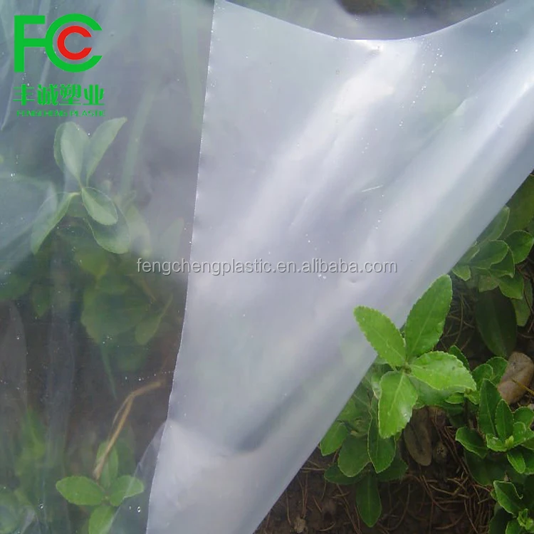 PE greenhouse film, etfe greenhouse film, tunnel plastic greenhouse film agriculture