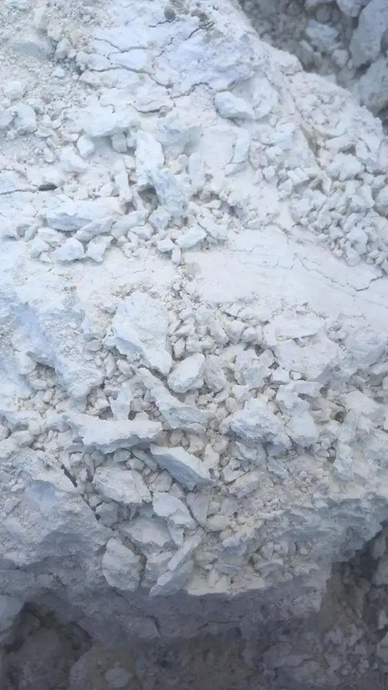 Sodium/Calcium bentonite clay organic bentonite