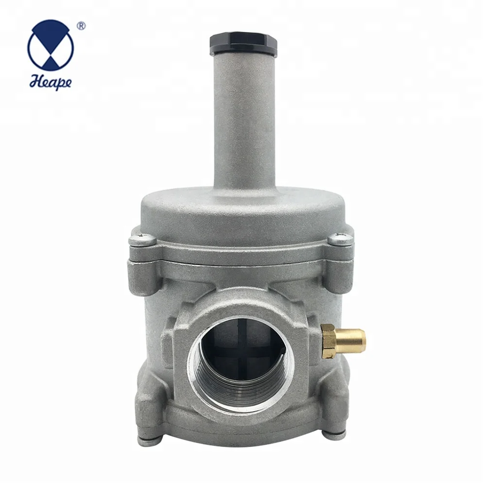 
HEAPE DN15 Natural Gas Regulator Valve 