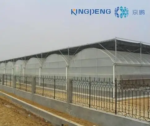 
Greenhouse Construction 