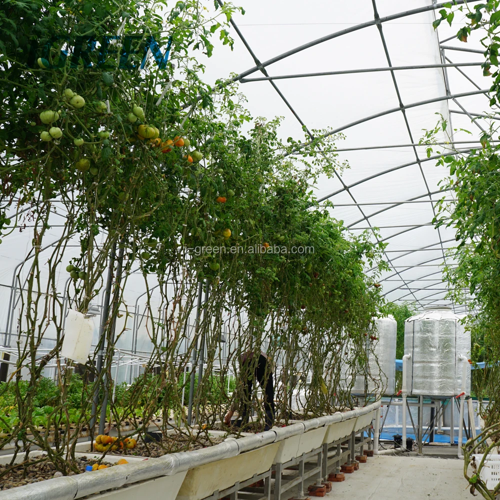 Planting Greenhouse Sprinkler Film Large Green House Metal Frame Large Plastic Tray for Seed Planting Large Glass Flower Base