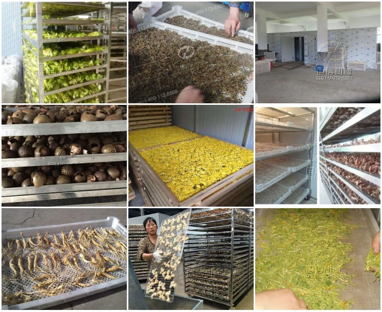
Saving power commercial used vegetable drying machine / onion / ginger /garlic dehydrator 