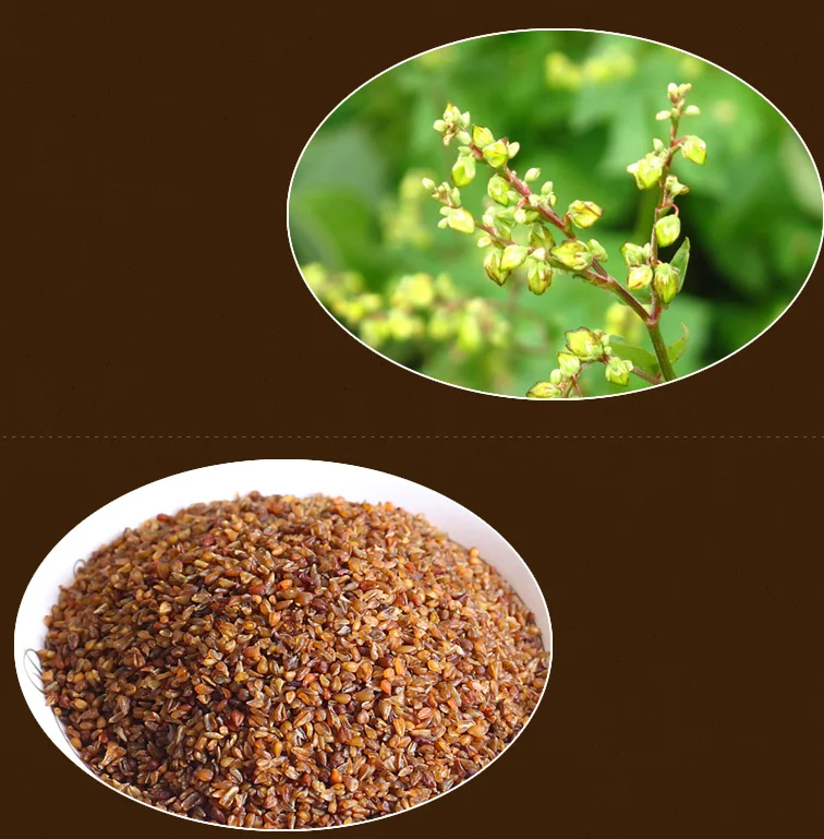  Частная торговая марка лучшее качество вкус черный тартарный гречневый чай с 100% сломанным здоровым питьевым напитком подарки