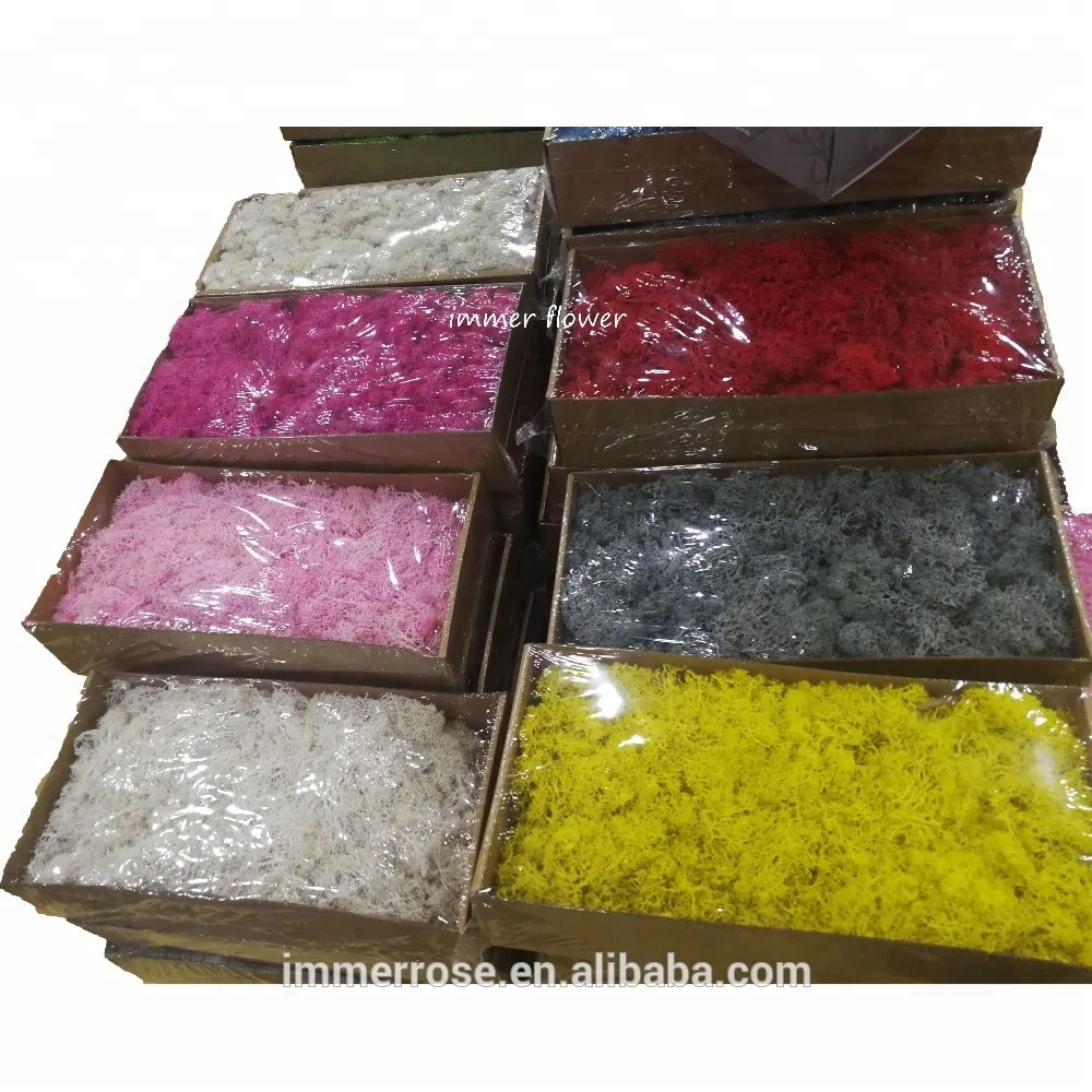 
Top quality Stabilized Moss Wholesale Preserved Moss From Kunming China 