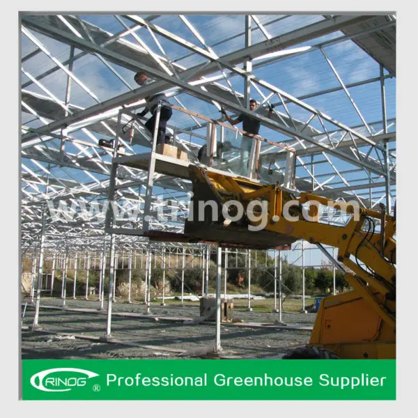 промышленная теплица Venlo