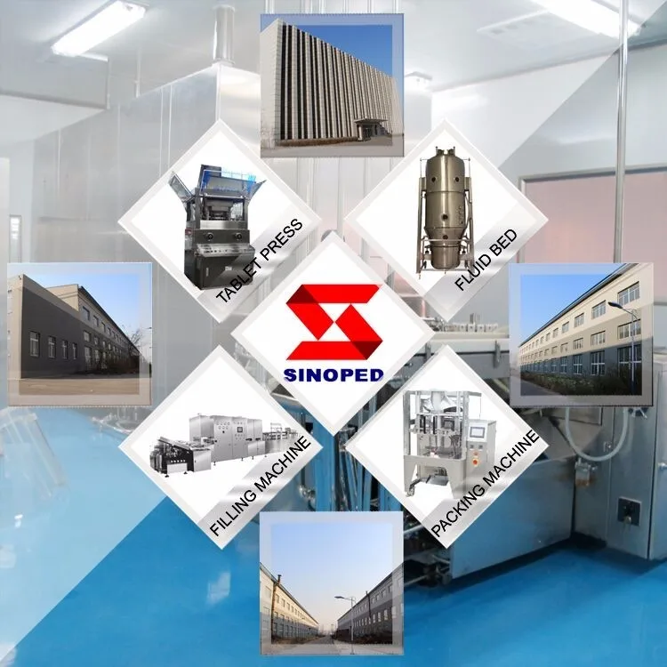 capsule making machine