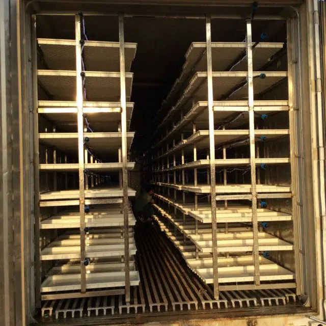 Cow Farm Equipments 500kg Fodder Machines / Hydroponic Fodder Systems/ Seedling Bud Sprouting