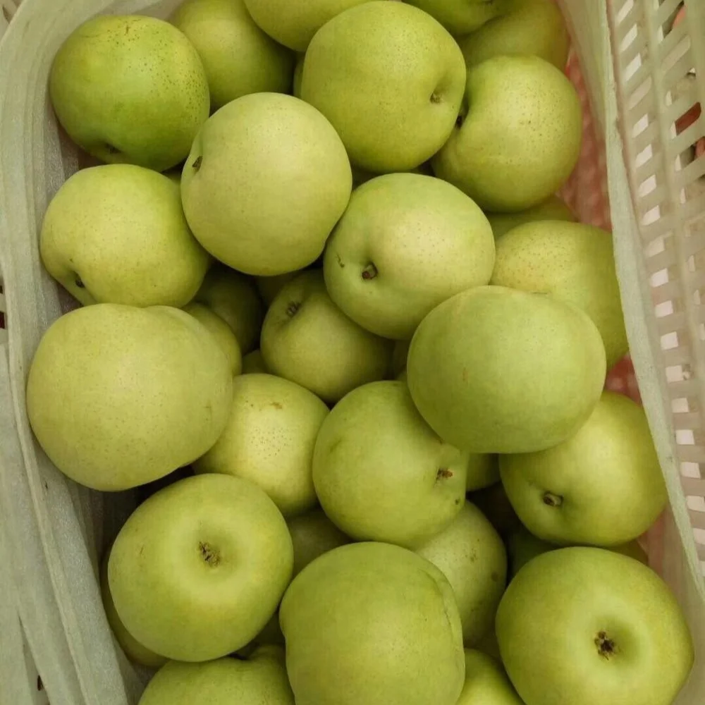 17 кг картонная коробка Ya Pear