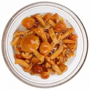 Low price canned mushroom nameko from China