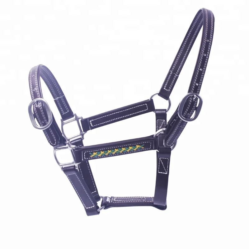 Arabian Colorful PVC Horse Halter for Horse Racing  Horse Equipment Equestrian Nylon Halter With Soft Padding