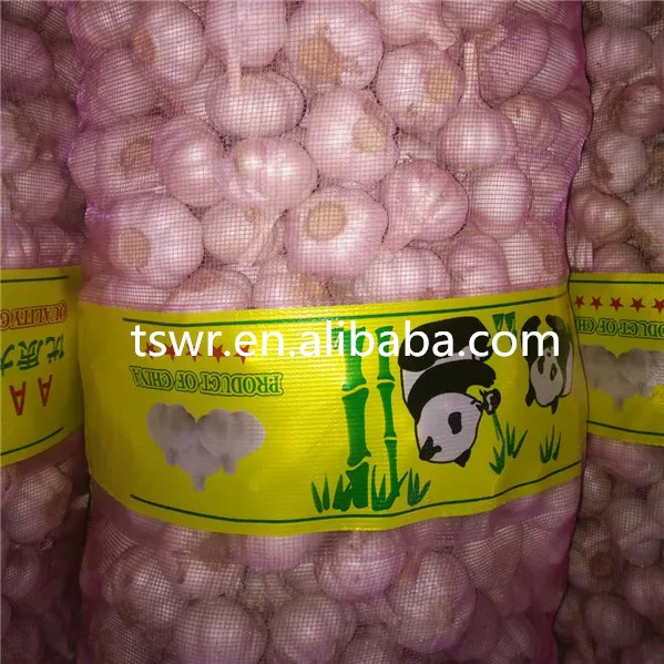 
high quality fresh gralic best price garlic white garlic 