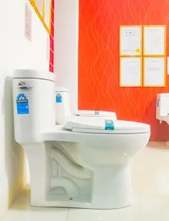 Most Popular Ceramic One Piece Cheap Single-flush Best Affordable Toilets