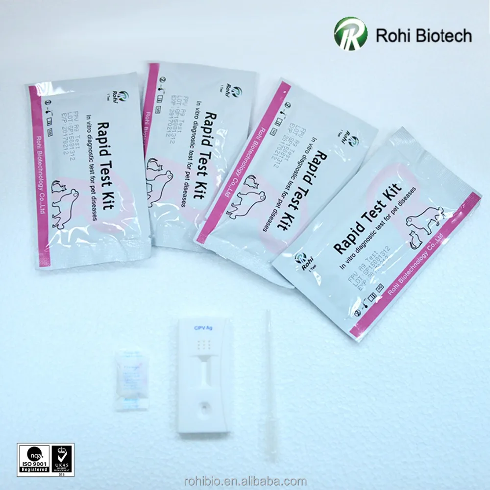 
Feline Leukemia Virus Ag Rapid Test kit for veterinary clinics 