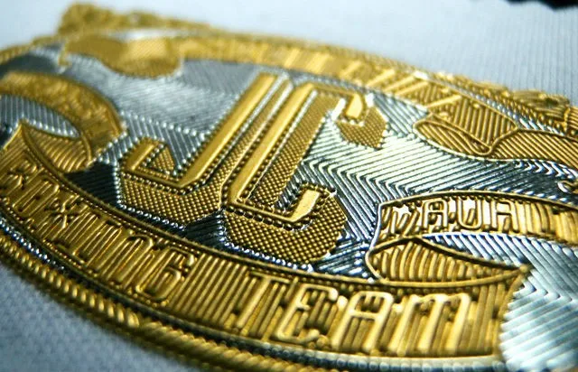 Accept Custom Design Raised Medallion Badge high frequency 3d logo badge