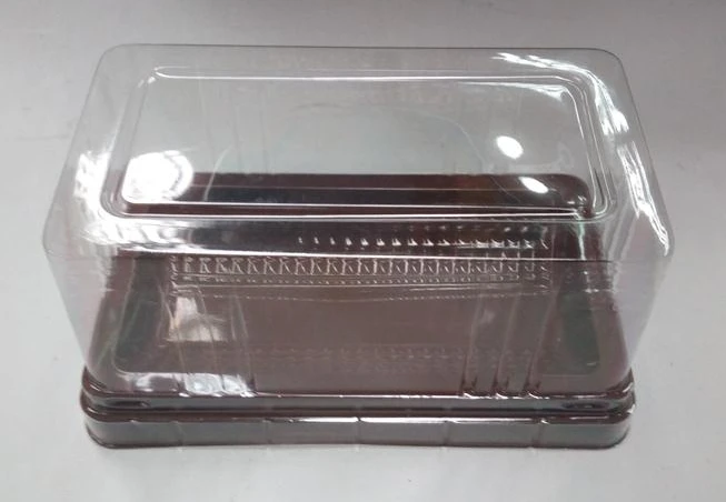  High QualityTransparent Clamsheel Fruit Plastic Food Box Tray Blister Packaging For
