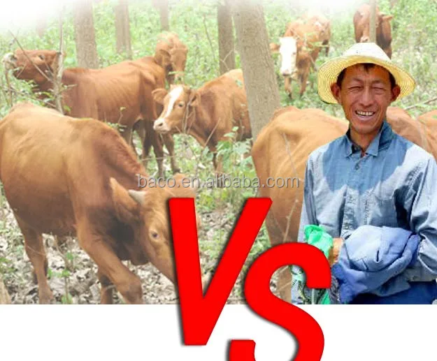 New products pet animal solar powered cow gps solar tracker