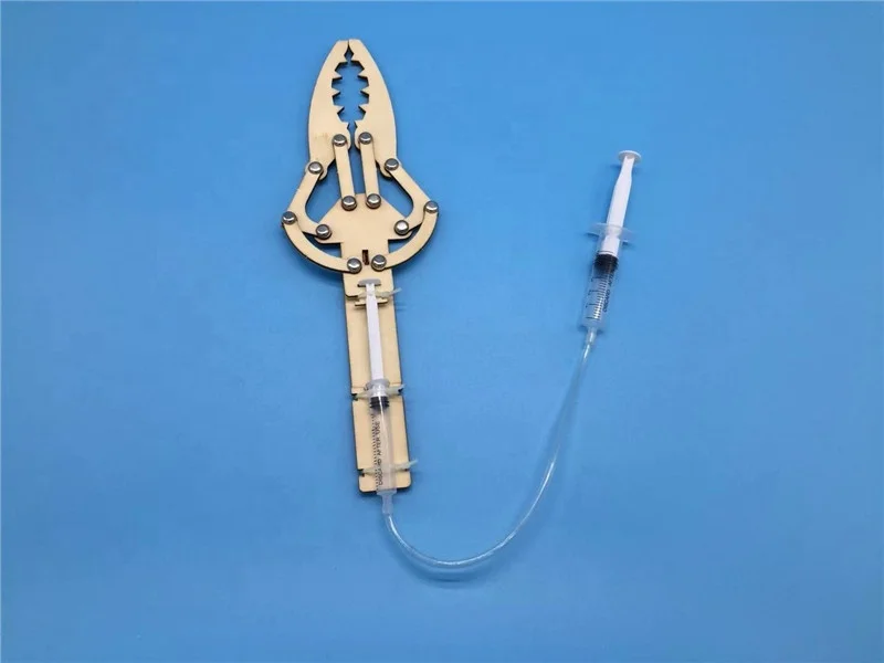 Hot Sell Science and Technology Student DIY Piston Hydraulic Mechanical Arm Model Material Experiment Toy Beneficial Wisdom