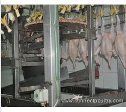 Automatic chicken Feet Cutting Machine for poultry processing equipment
