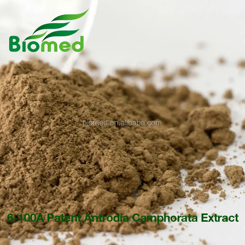 Antrodia camphorata powder Liver care health supplements